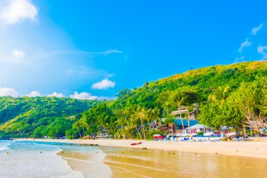 güzel tropikal plaj ve deniz manzara