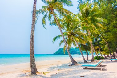 Güzel tropikal deniz ve kum plaj