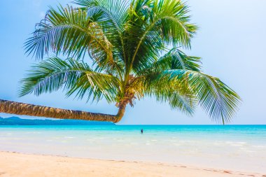 Güzel tropikal deniz ve kum plaj