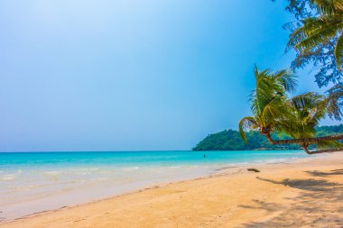 Güzel tropikal deniz ve kum plaj