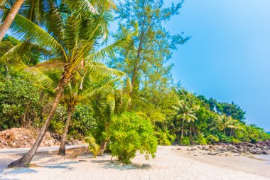 Güzel tropikal deniz ve kum plaj