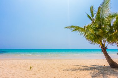 Güzel tropikal deniz ve kum plaj