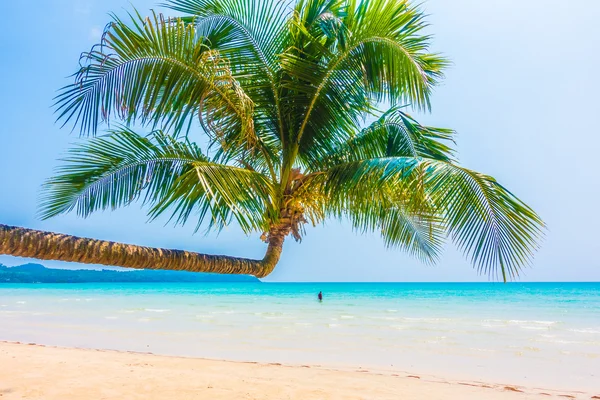Güzel tropikal deniz ve kum plaj