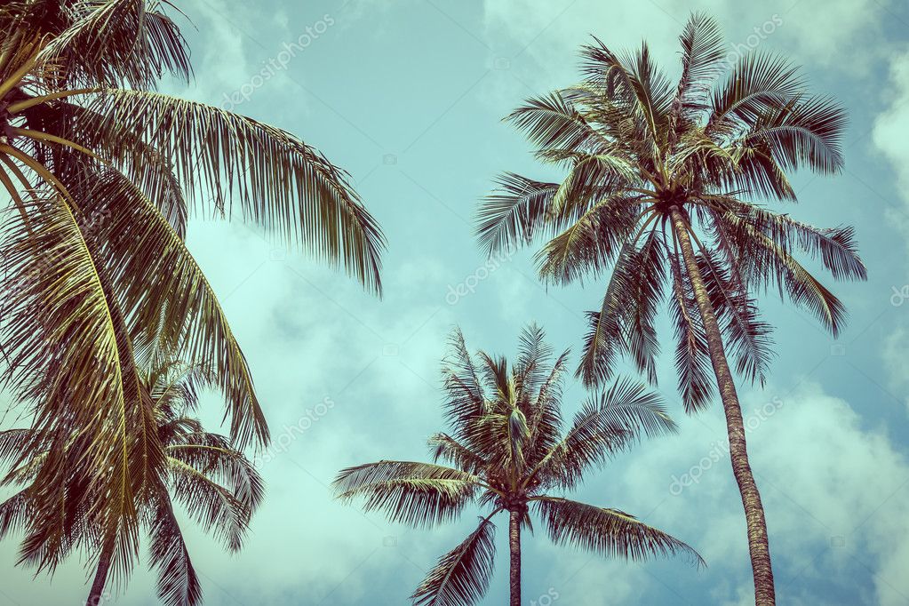 Exotic Palm Trees Background Vintage for Beach-themed designs