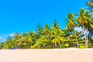Güzel tropikal plaj ve deniz