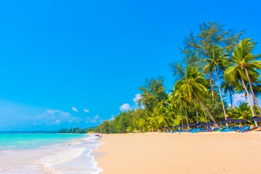 Güzel tropikal plaj ve deniz