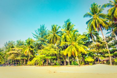Güzel tropikal plaj ve deniz