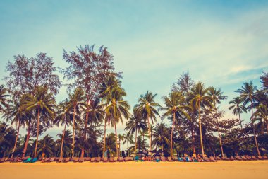 Güzel tropikal plaj ve deniz