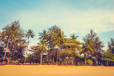 Güzel tropikal plaj ve deniz