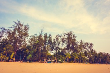 Güzel tropikal plaj ve deniz