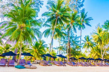 Güzel tropikal plaj ve deniz