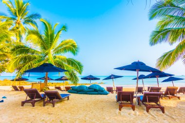 Güzel tropikal plaj ve deniz