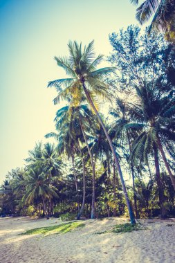 Şemsiye ve güzel tropikal plaj sandalye