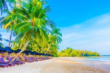 Güzel tropikal plaj ve deniz