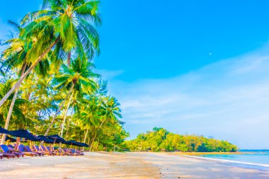 Güzel tropikal plaj ve deniz