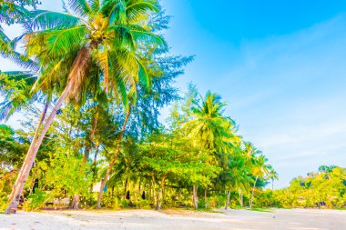 Güzel tropikal plaj ve deniz
