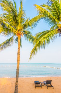 Güzel bir plaj ve deniz ile palmiye ağacı