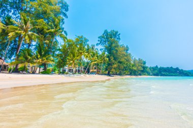 Güzel tropikal deniz ve kum plaj