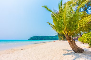Güzel tropikal deniz ve kum plaj