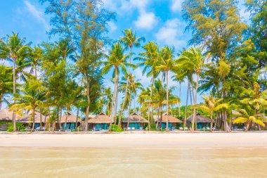 Güzel tropikal deniz ve kum plaj