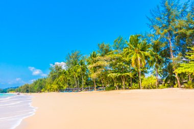Güzel tropikal plaj ve deniz