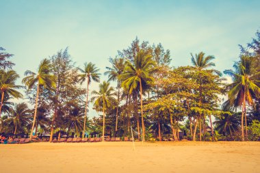 Güzel tropikal plaj ve deniz