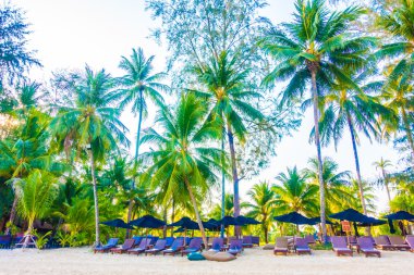 Güzel tropikal plaj ve deniz