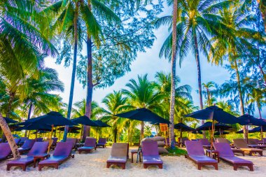 Güzel tropikal plaj ve deniz