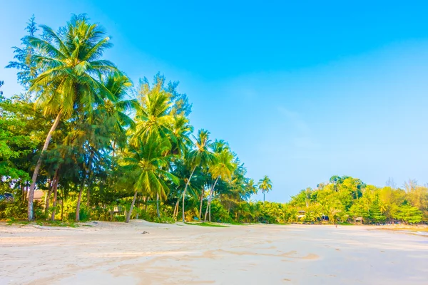 Bella spiaggia tropicale e mare — Foto Stock