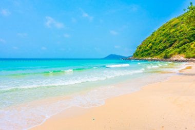 güzel tropikal plaj ve deniz manzara