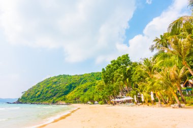 güzel tropikal plaj ve deniz manzara
