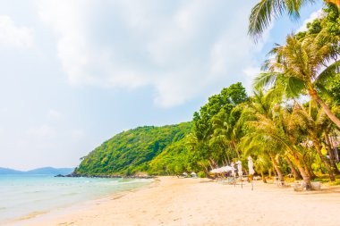 güzel tropikal plaj ve deniz manzara