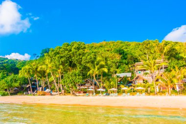 güzel tropikal plaj ve deniz manzara