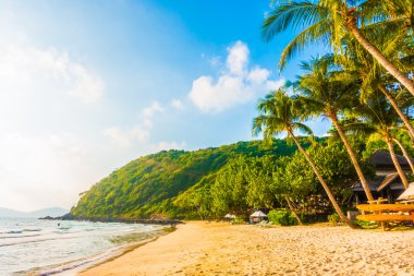 güzel tropikal plaj ve deniz manzara