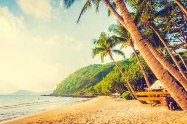 Güzel tropikal plaj ve deniz