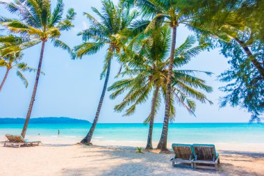 Güzel tropikal deniz ve kum plaj