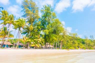 Güzel tropikal deniz ve kum plaj