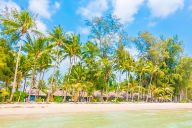 Güzel tropikal deniz ve kum plaj