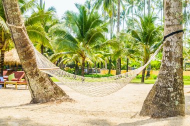 Boş hamak güzel tropik sahilde