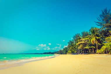 Güzel tropikal plaj ve deniz
