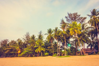 Güzel tropikal plaj ve deniz