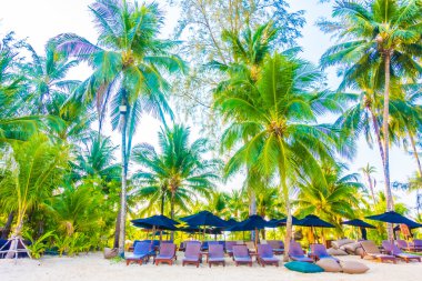 Güzel tropikal plaj ve deniz