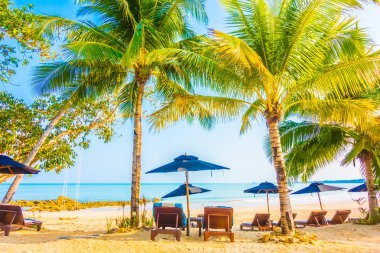 Güzel tropikal plaj ve deniz