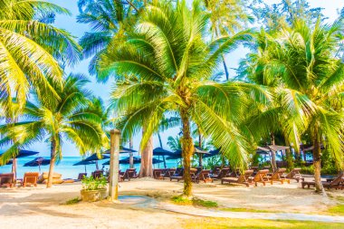 Güzel tropikal plaj ve deniz