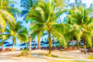 Güzel tropikal plaj ve deniz