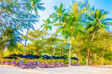 Güzel tropikal plaj ve deniz