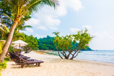 güzel tropikal plaj ve deniz manzara
