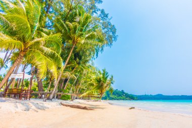Güzel tropikal deniz ve kum plaj