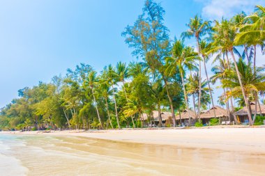 Güzel tropikal deniz ve kum plaj