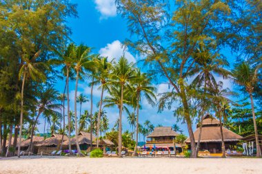 Güzel tropikal deniz ve kum plaj